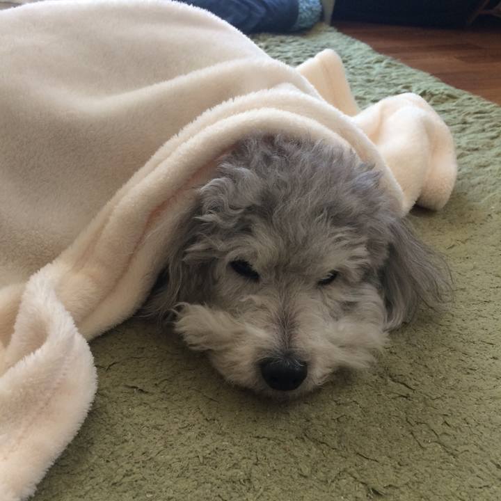 C9d78b18 89ab 417b 9749 59344b7422eb