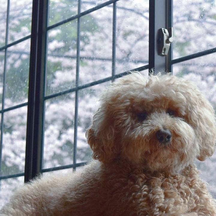 C9d81862 a567 4e5e b285 ca47d8163b50