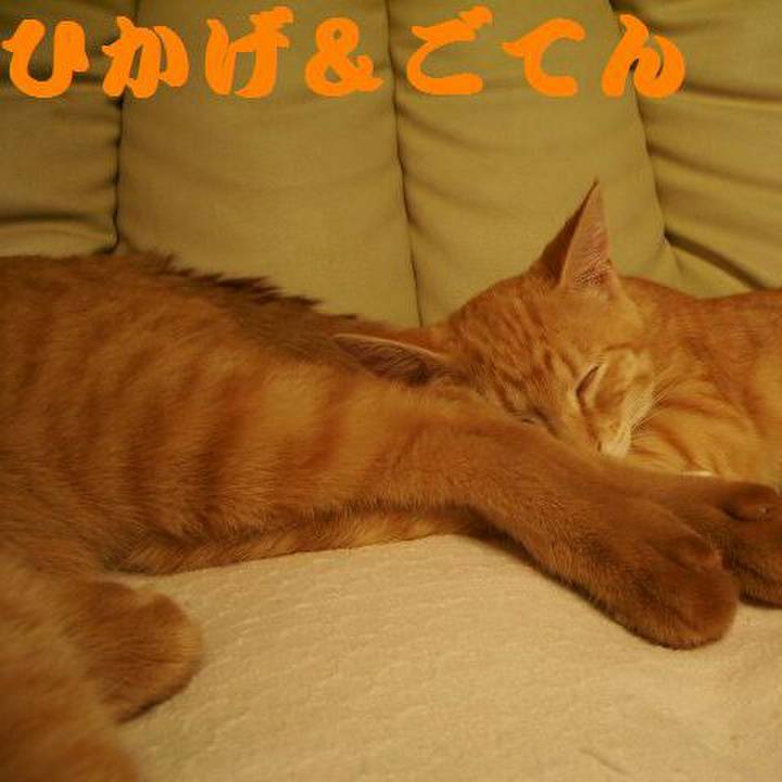 C9d86b5e af7e 4eac 9137 9f506ea1e138