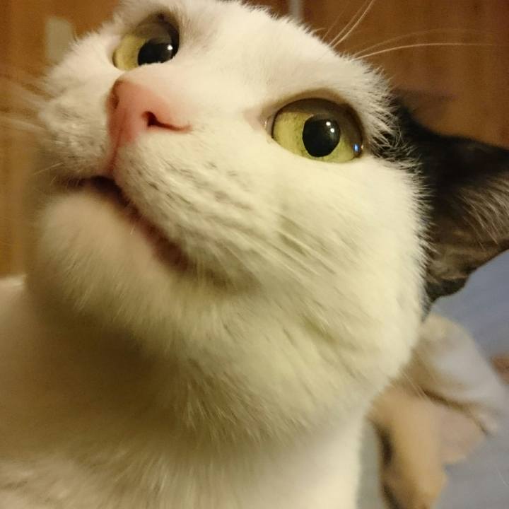 C9d8b4c2 534b 41c1 872a ac8adabb40af