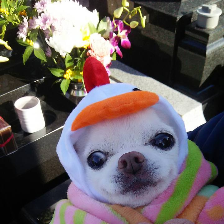 C9d8fc04 05a6 4b14 abff e0eaa5d53b33