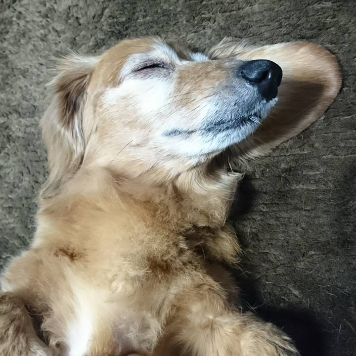 C9d92859 546d 4f8c 82c1 fa1ce48e757b