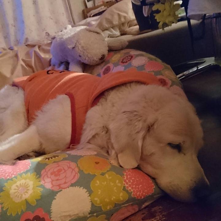 C9d99139 d824 4846 8e87 03c952132ba9