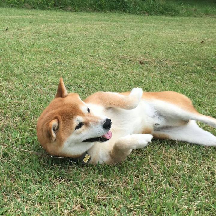 C9da1207 0676 4111 8ce9 df97991831d9