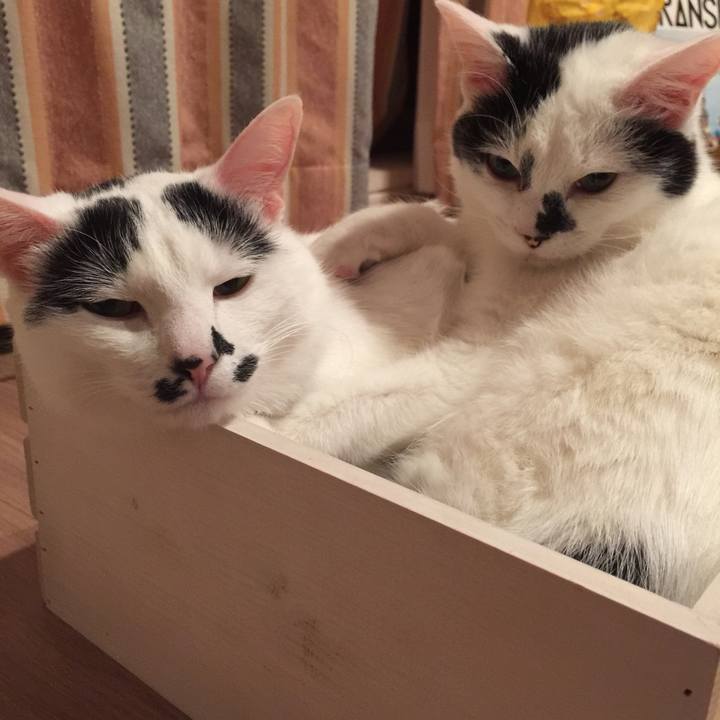 C9da1484 8cab 4817 9ea6 86e1c78859cf