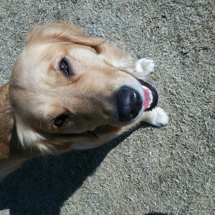 C9dae1ab 9e9c 4961 b35f 08f2798468b5