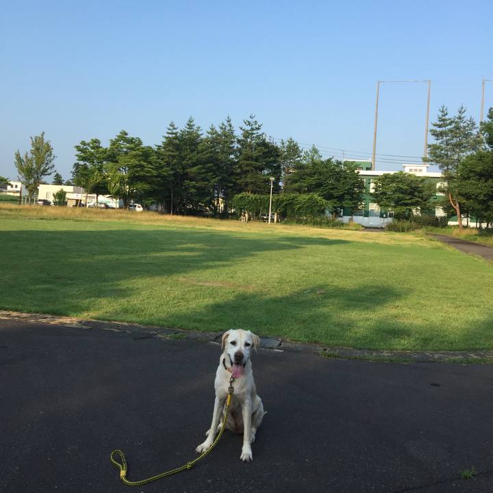 C9db5e91 4495 47c1 93be 3cb32a0dbb5e