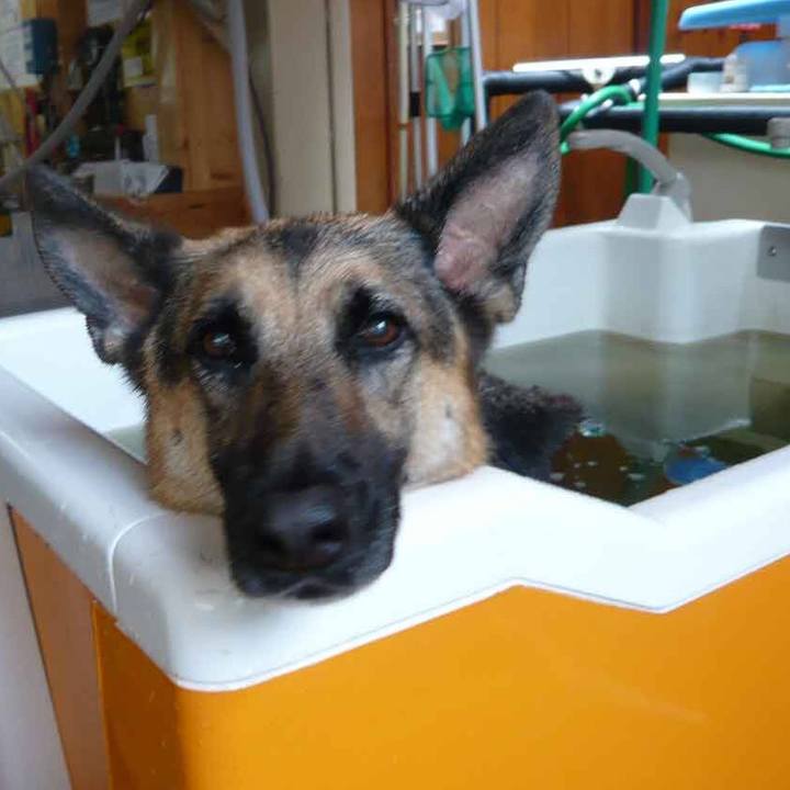 C9dbccfc 8c2b 401e a484 61796f9cb47b