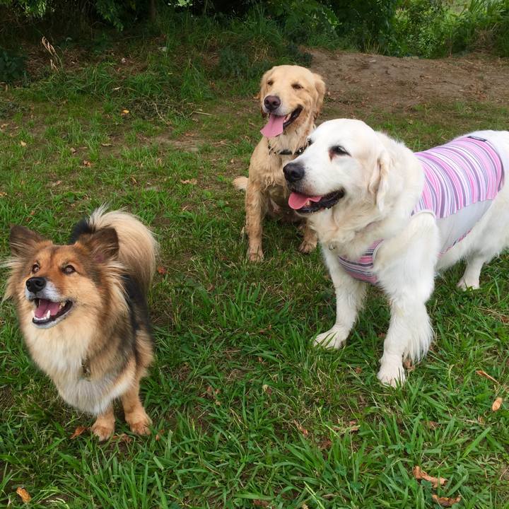 C9dcc0a9 a5bb 4dfe 95c9 90893640db19