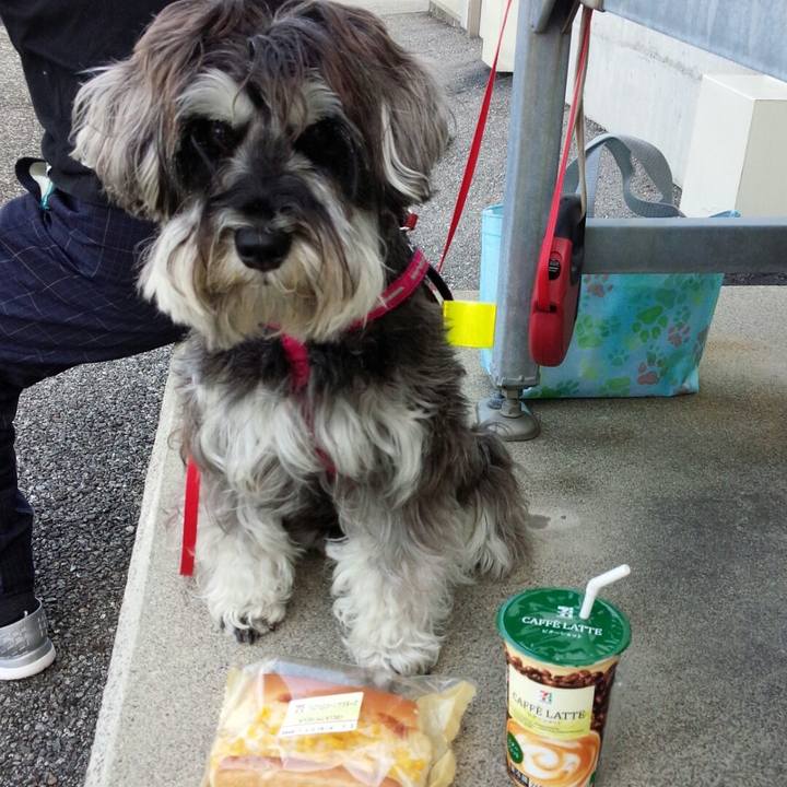 C9dd1951 e0da 4ad1 8579 2857be1b346a