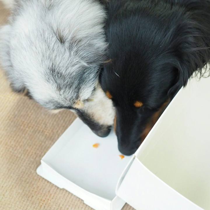 C9deb3eb 8168 48ea 8cdb c7ae1d6e61c0