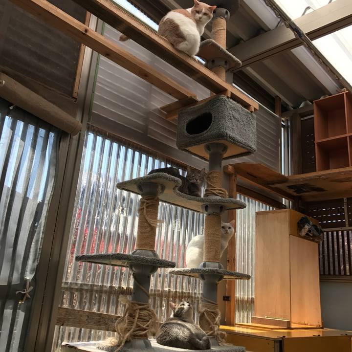 C9dec5d0 1468 4197 9d1a 8c2d66e115a2