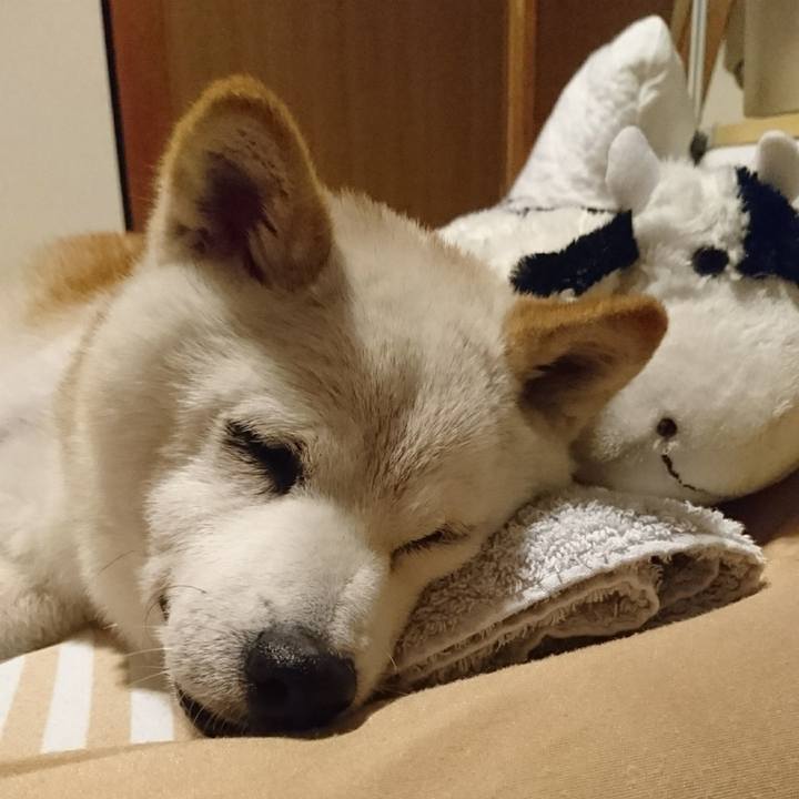 C9dec77b ef2d 4388 ab4d 3df9cb99984e