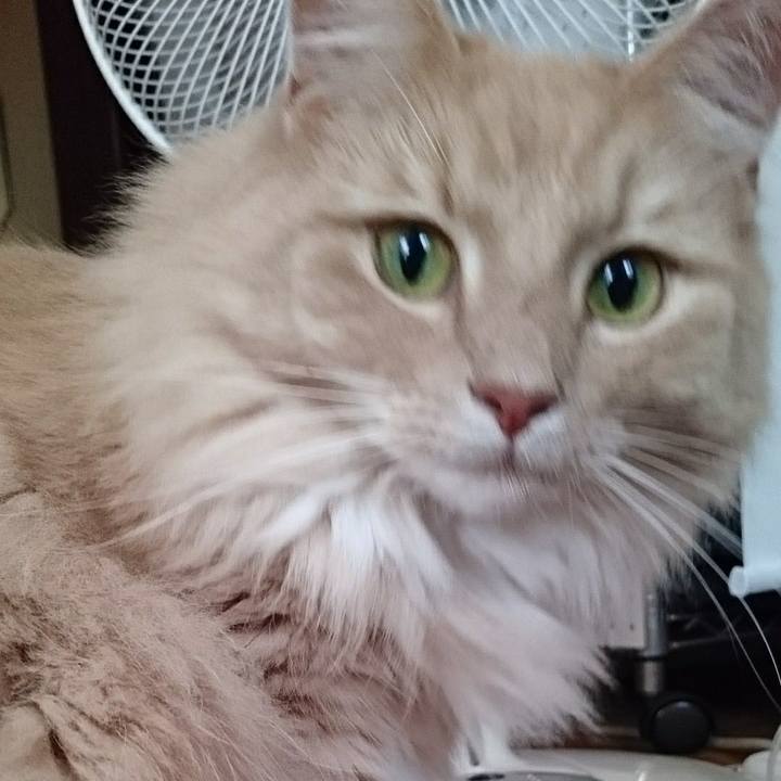 C9df1693 60ab 41db b372 3ff9705b51a7