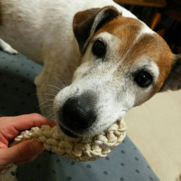 C9e035d2 de60 40fd 8199 1a408c809c60