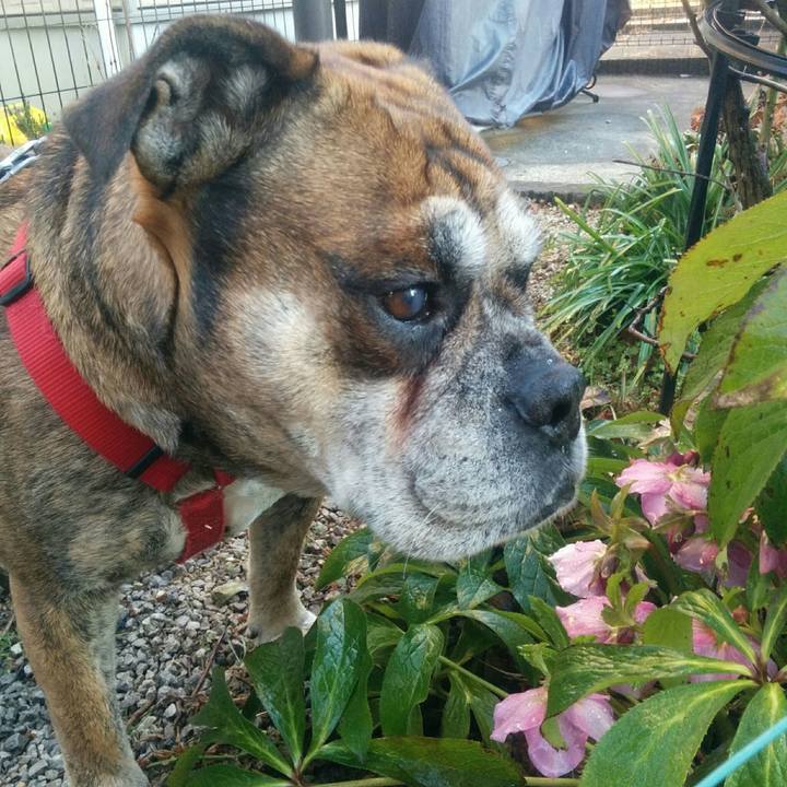 C9e0ab00 0b57 459b a6d0 343c274396c6