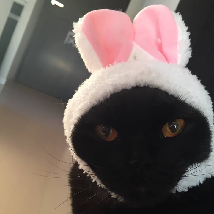 C9e100a4 8c9e 429a 8576 2084173bce1b