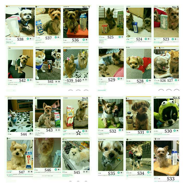 C9e12ebe 8119 45e2 8168 afb64011164c