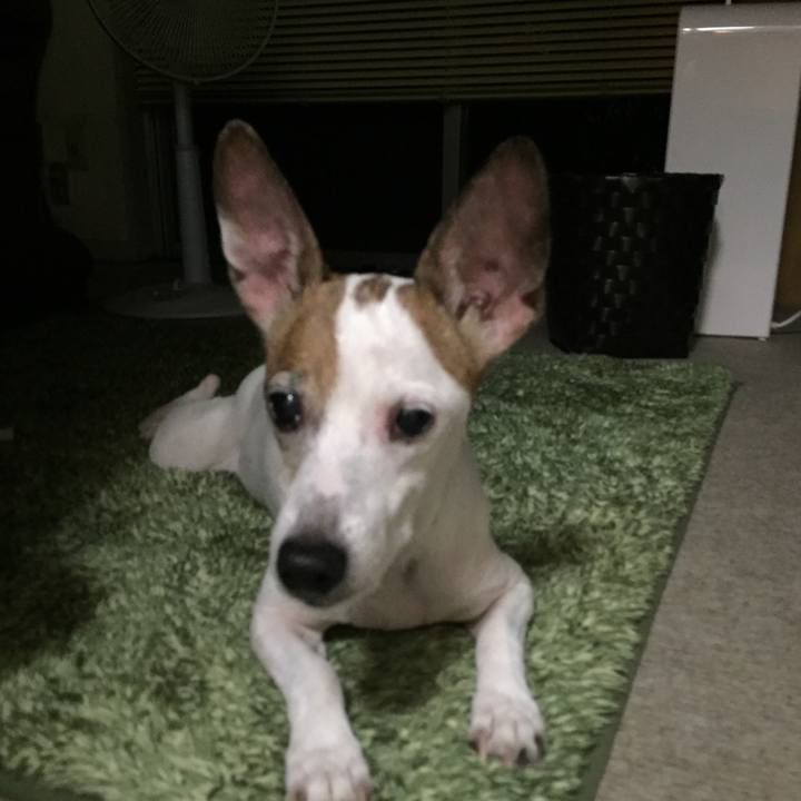 C9e16db3 6949 49cc 8bee a7c0ced936b7