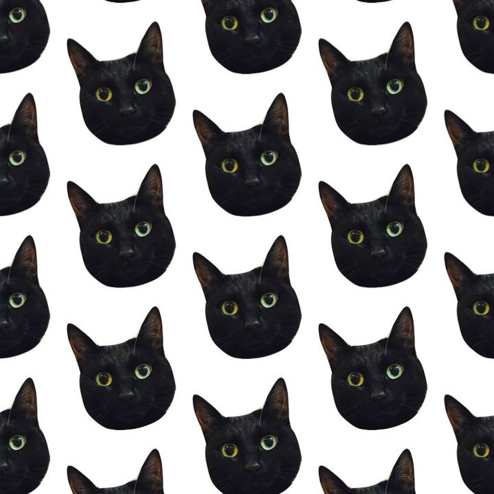 C9e2d4cc 849a 4ba0 9d6e fa1eed91259a