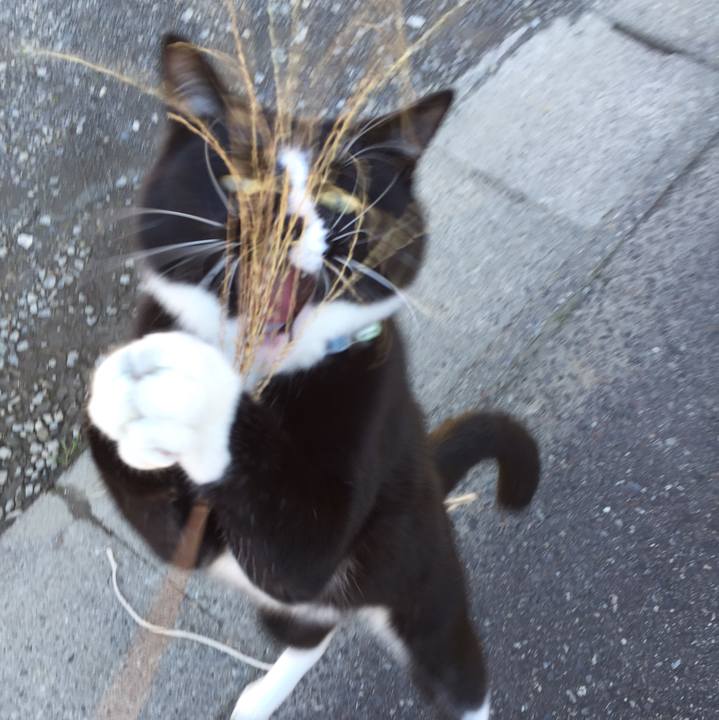 C9e30630 bd56 4f0c a8fe 192c4fe80377