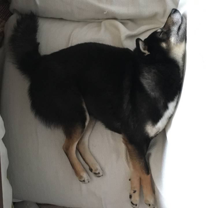 C9e3ecfb c28c 488f b06a 7efc25fb7714