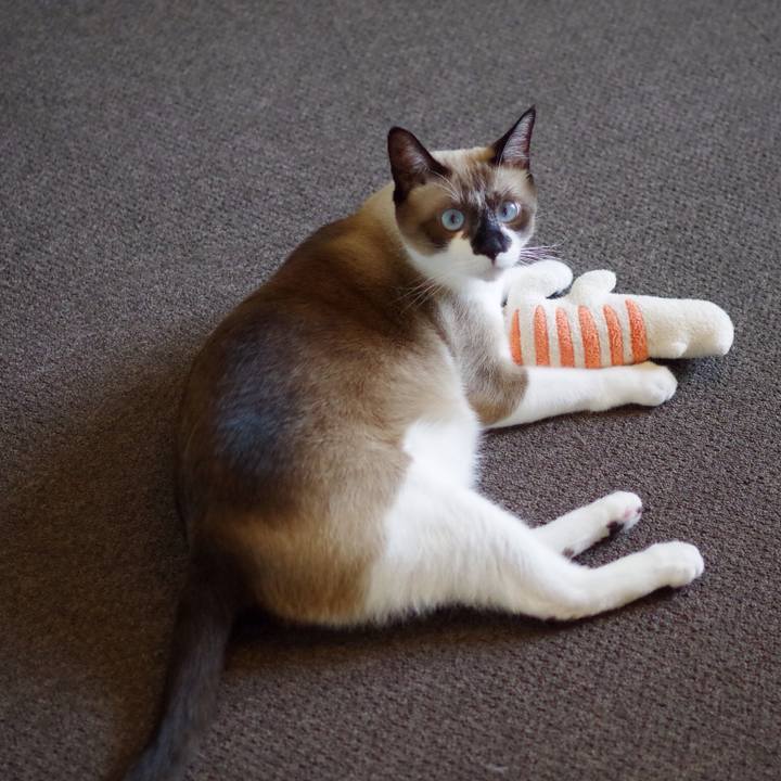 C9e3f502 7350 461f b16f 40dc585ff0e6