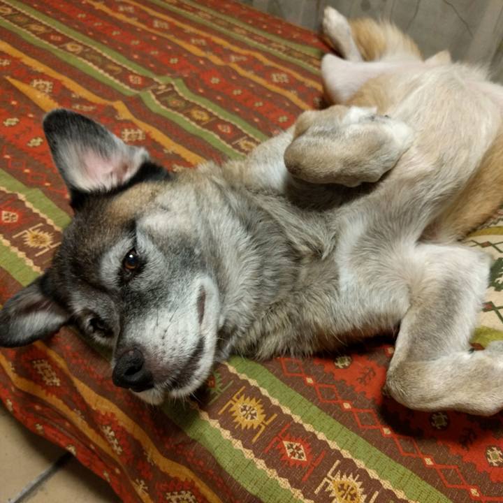 C9e559c7 1313 4cd1 a52b 5c4a391e978f