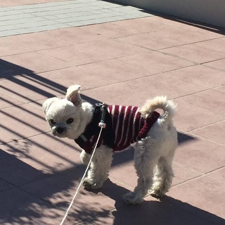 C9e623df c4b1 4177 be92 61dc21b96ed5