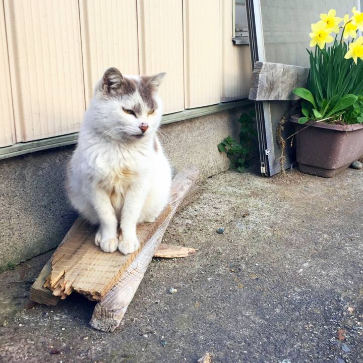 C9e63e17 6f45 47c9 b6a4 f0dacb31038e