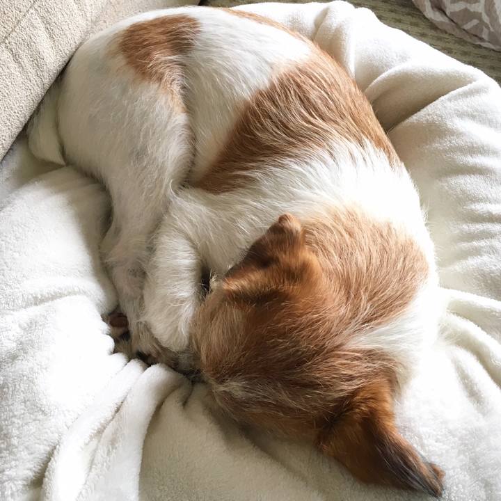 C9e74290 d07f 4725 98b7 b348d2a61888