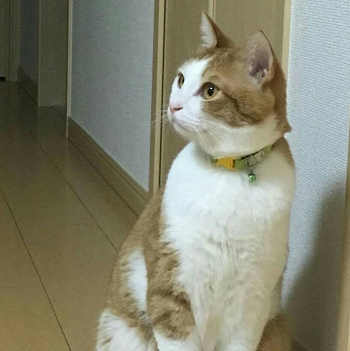 C9e82807 a89d 4ab5 8253 4d07303f444c