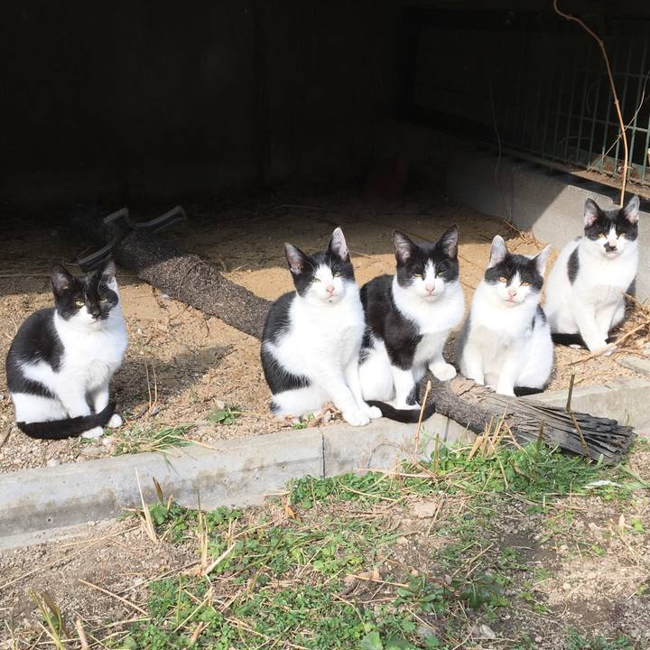 C9e849c0 58a4 4af2 871f ccf1e430a7ad