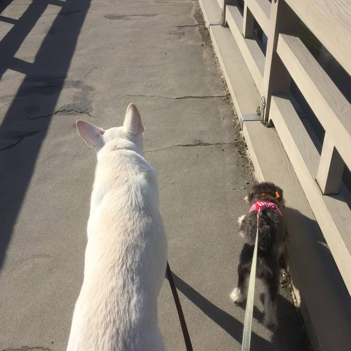 C9e8505e 5861 4444 8bca e3fdf263a208