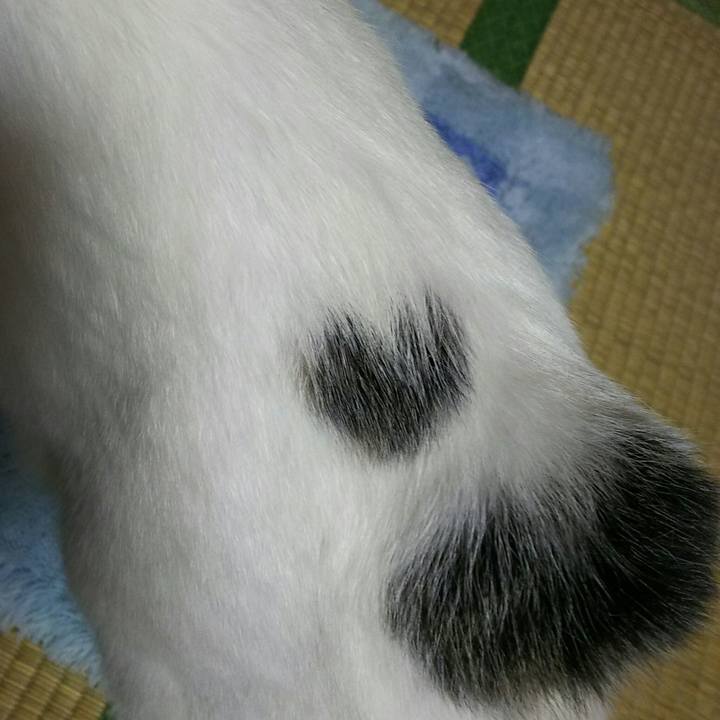 C9e957e6 5400 4704 b683 b10635331ef6