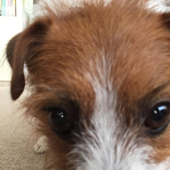 C9e9ae3e 765a 4c80 85a0 92fcf0bbf15a