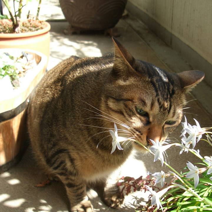 C9ea1810 136f 487e 97b7 101a67f1fce7