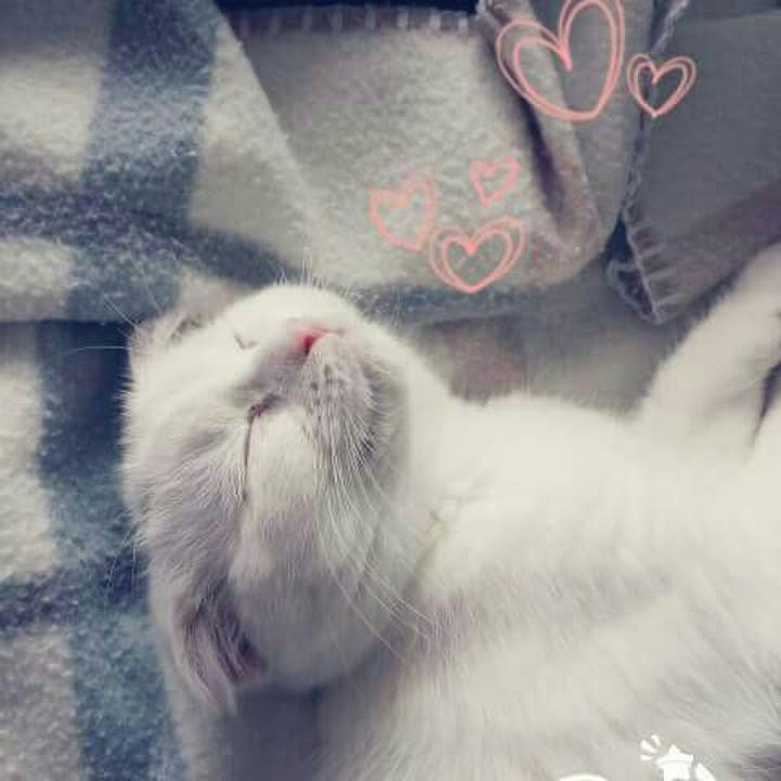 C9ec6a12 7c11 4bff 8938 c8c148611956