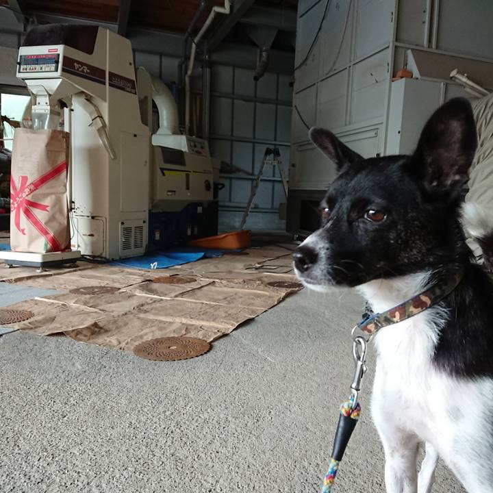 C9ed1df3 69c6 463c 9e4a 2c11ad3f7904