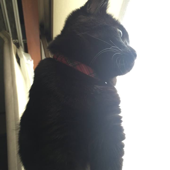 C9eda561 2a01 42f0 833e 3ecbe26ab5c1