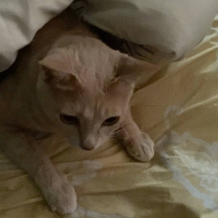 C9ee1317 d85f 4025 94f8 bda014700abf