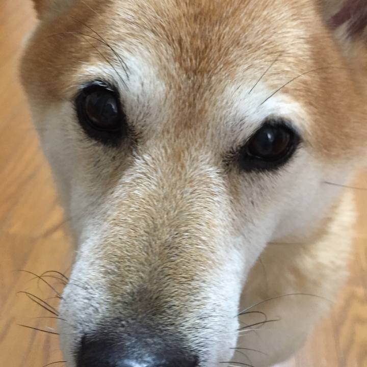 C9ee8a1d a5a8 4d79 915c 346b542a0271