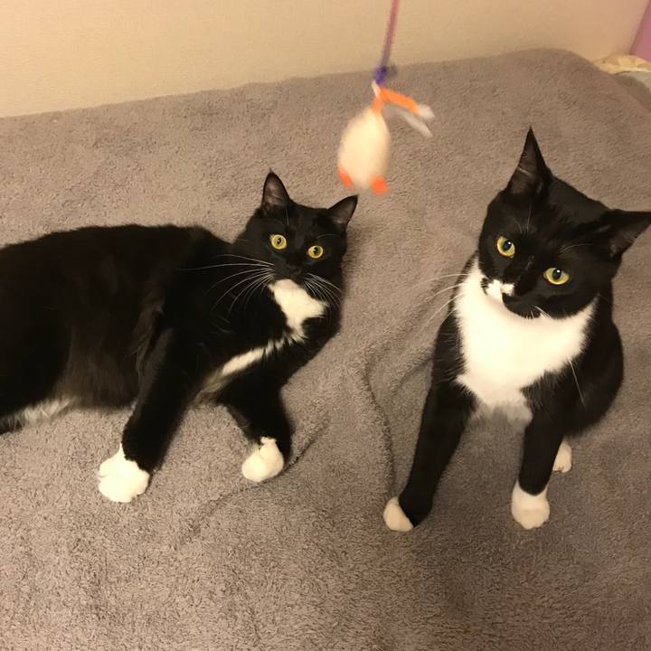 C9eeab3d 1703 48be 8f9a 7f7f4e073e45