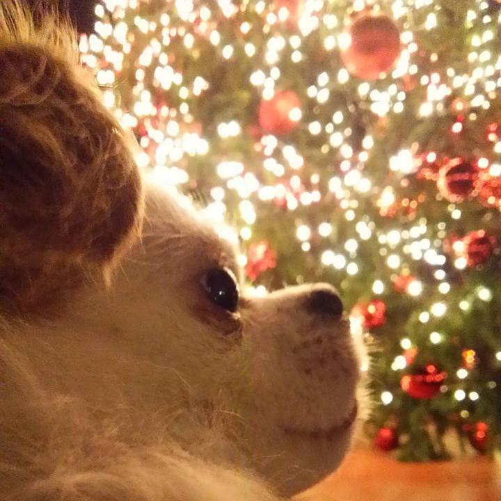 C9eed568 9574 45c8 8f7f 8f52371b1214