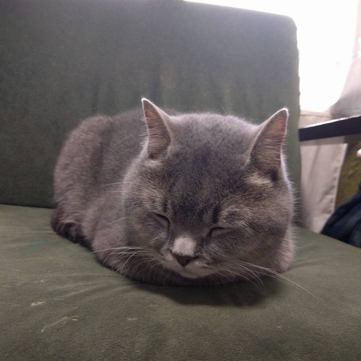 C9ef604f 8628 446f 9a90 82a95e956c1a