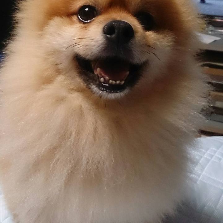 C9f01322 b49f 48e9 849e bdd16fd0f20a