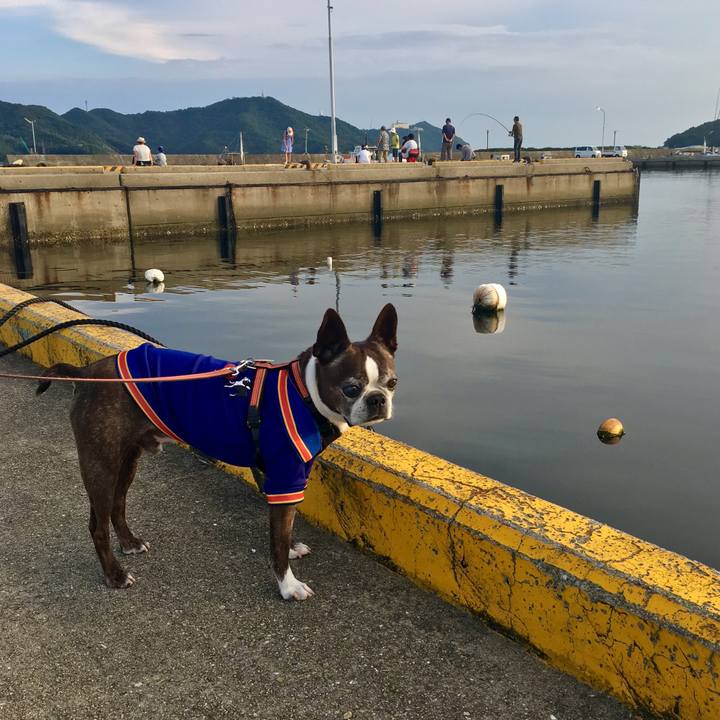 C9f02f1a e214 4e06 ba0e fd74bf72fd3a