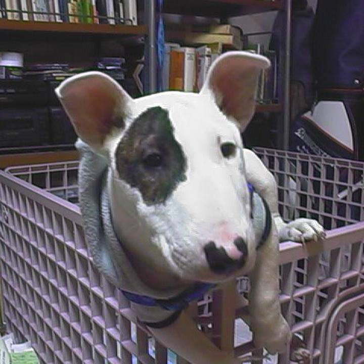 C9f04325 58c1 480d 8a40 27baa1a416d6