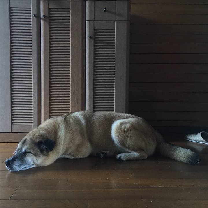 C9f1471b 785e 4ee3 9dd2 5d5dc9dd1979