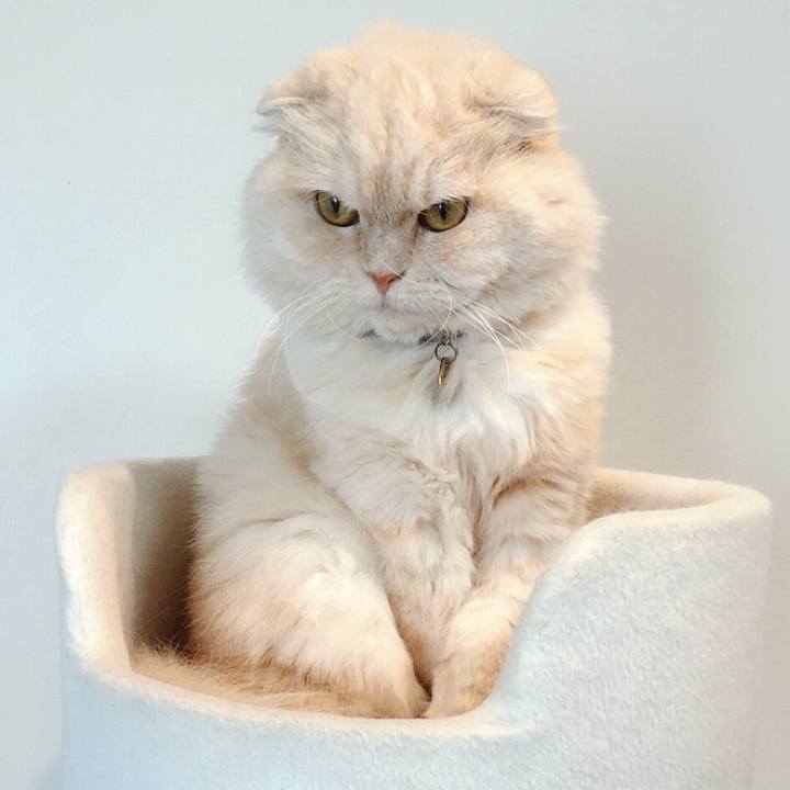 C9f29115 504e 4254 93b0 7a01de300083